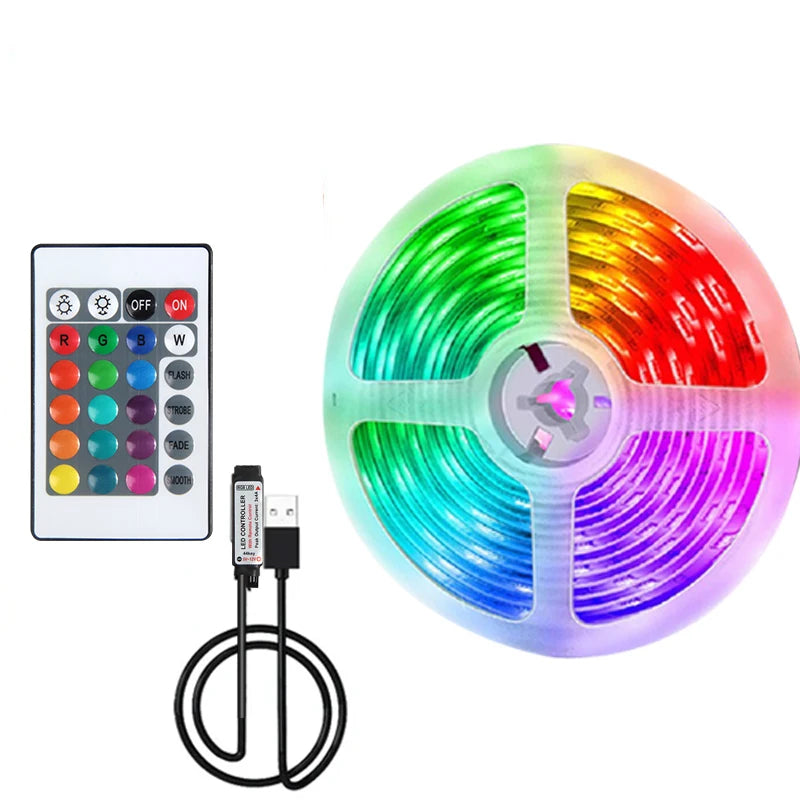 RGB LED Strip Light with USB & 24-Key Remote – Color Changing SMD Lights for Holiday Decoration