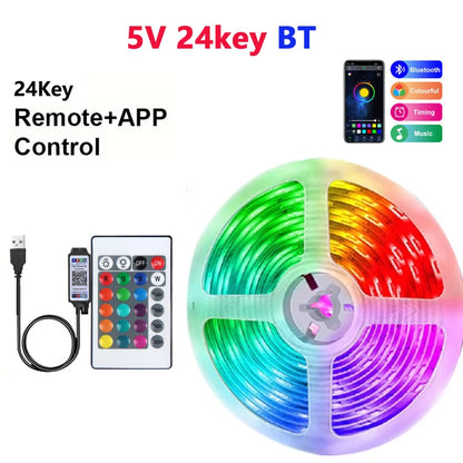 RGB LED Strip Light with USB & 24-Key Remote – Color Changing SMD Lights for Holiday Decoration