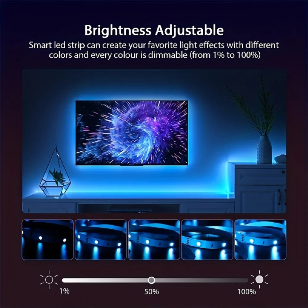 RGB LED Strip Light with USB & 24-Key Remote – Color Changing SMD Lights for Holiday Decoration
