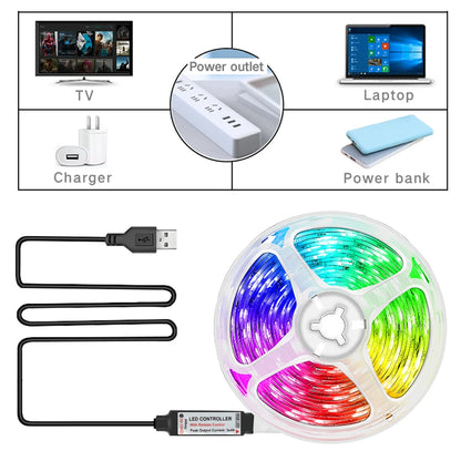 RGB LED Strip Light with USB & 24-Key Remote – Color Changing SMD Lights for Holiday Decoration