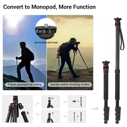 SmallRig T-10 Aluminum Tripod 3983 | Compact Lightweight Foldable Tripod for Camera & Smartphone | 15KG Load Capacity