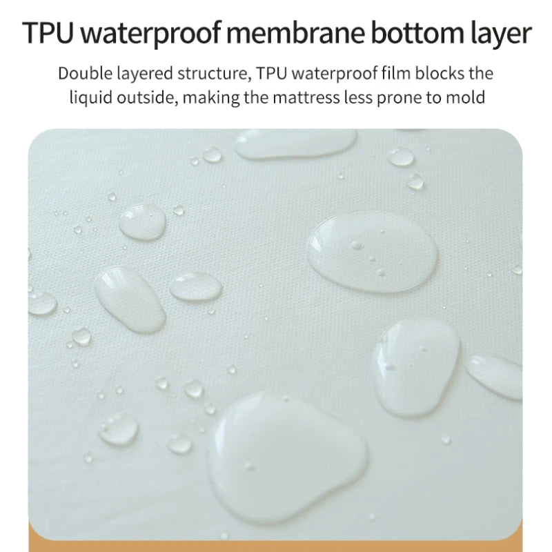 Waterproof Fitted Bed Sheet | 360° Elastic Band Mattress Protector | Single, Double, Queen & King