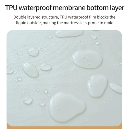 Waterproof Fitted Bed Sheet | 360° Elastic Band Mattress Protector | Single, Double, Queen & King